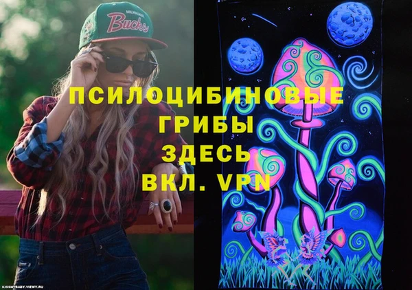 гидропоника Медвежьегорск